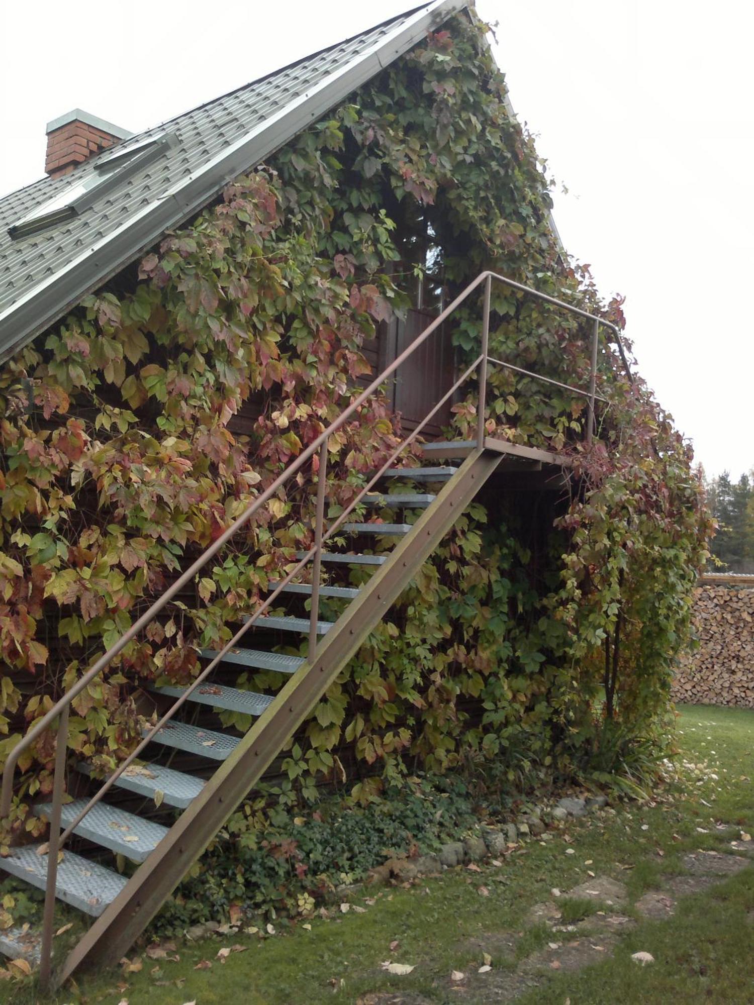 Laane Pansion Bed & Breakfast *