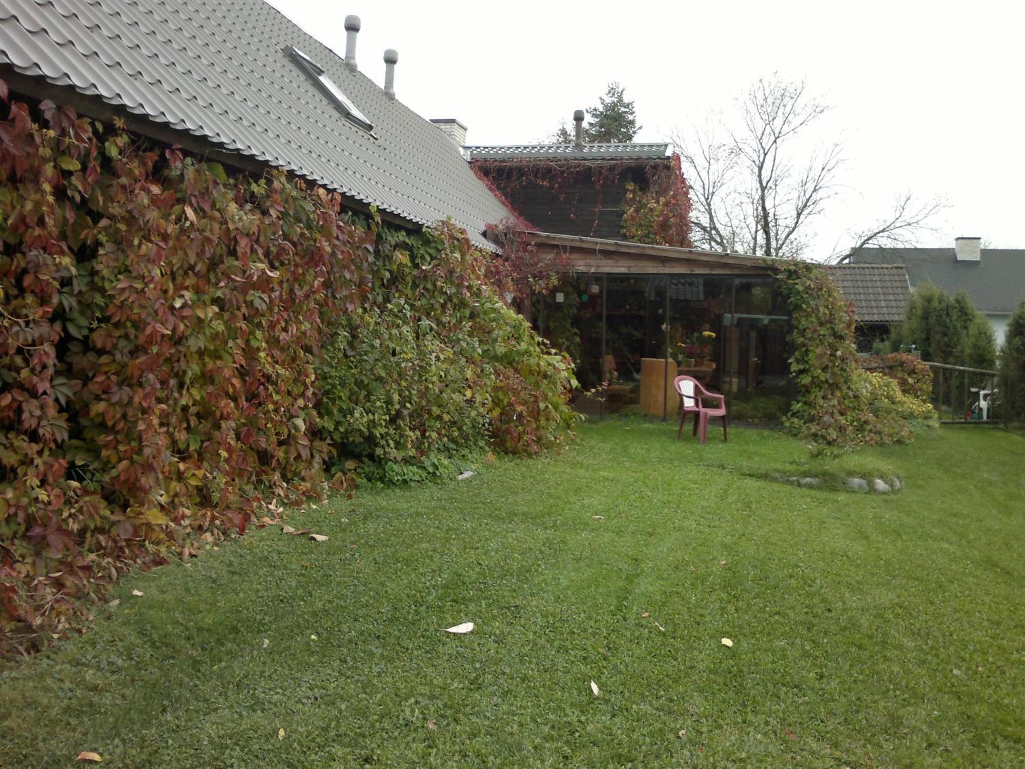 Laane Pansion Bed & Breakfast